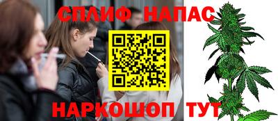 сатива Краснознаменск