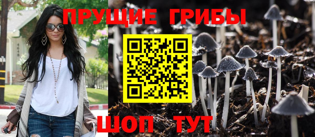 Железноводск  где продают   Вход с VPN  Псилоцибиновые грибы Cubensis 